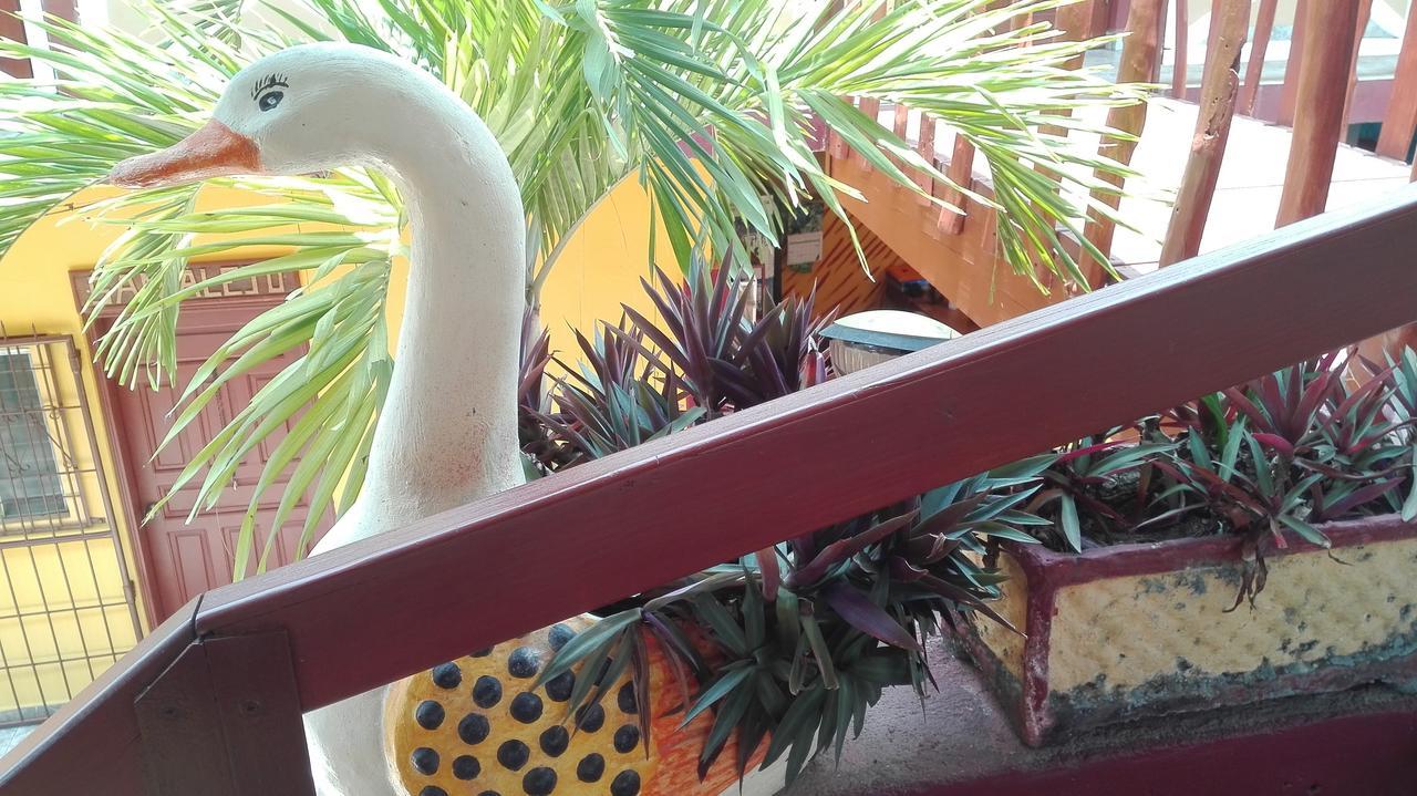 Hotel BAHÍA Tela Buitenkant foto